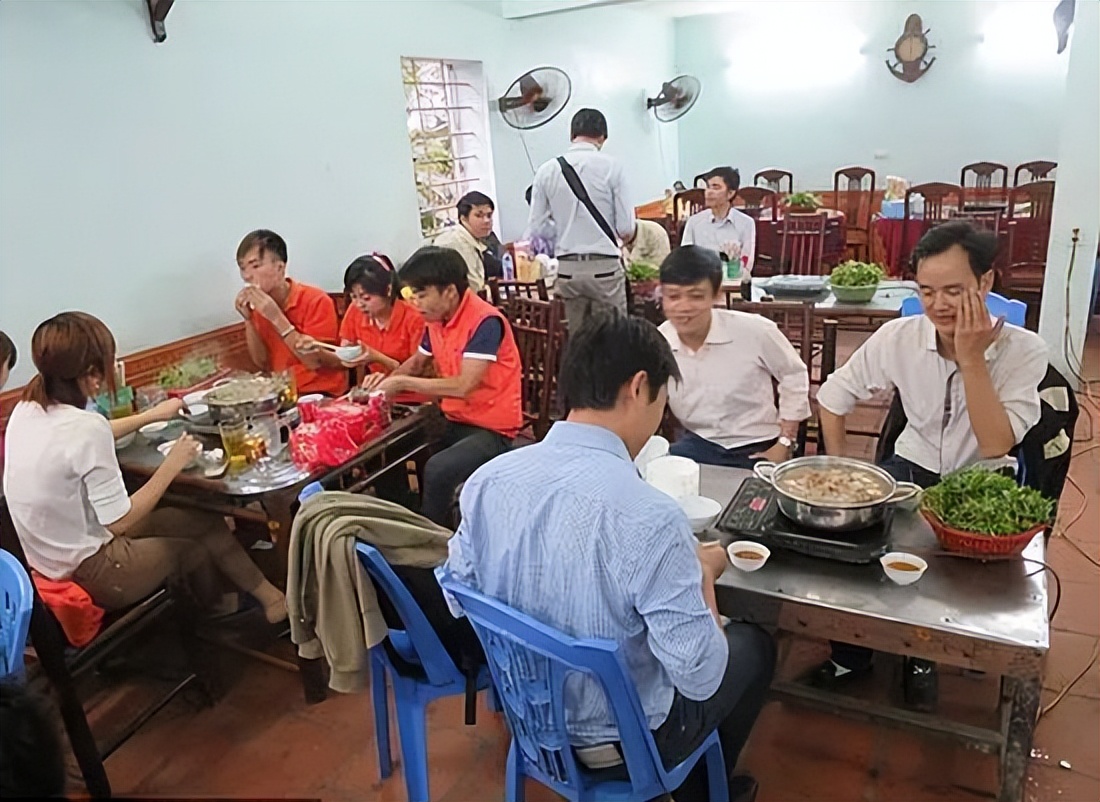 越南为什么没有苍蝇蚊子,越南为什么没有大熊猫