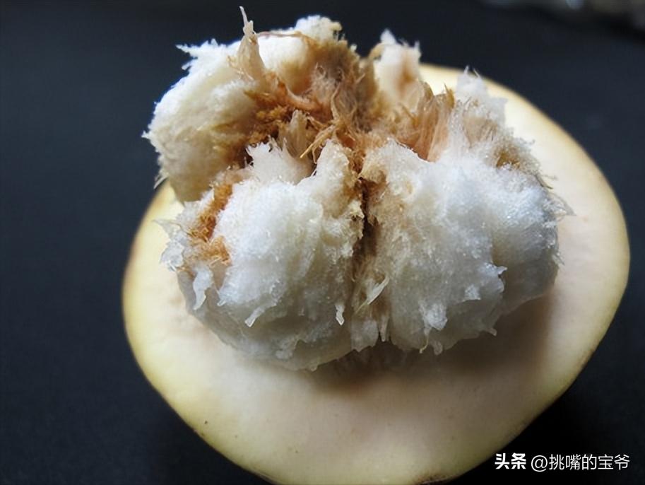 马来西亚特别推荐的水果,华人在马来西亚所占的比例