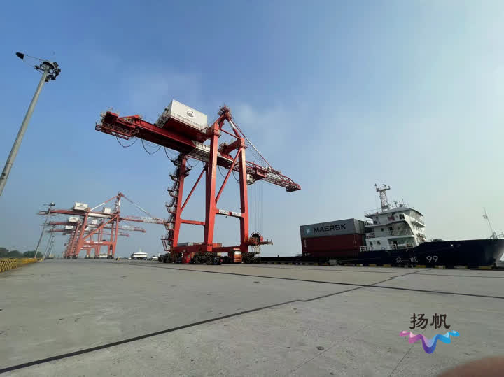 内陆海关查获固体废物,筑牢国门生物安全防线