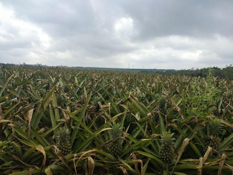 广东省内周边自驾游好去处,广东自驾游6大必去路线推荐