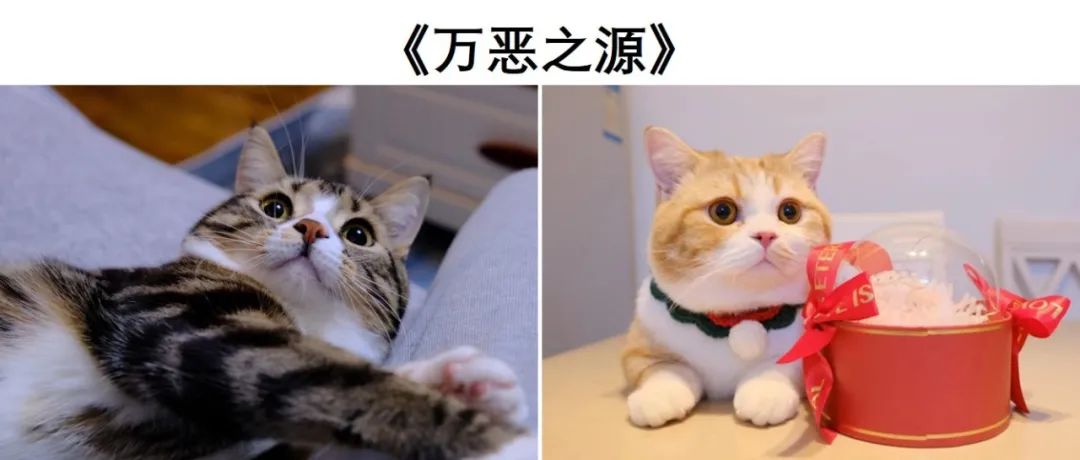 宅家无聊自己寻开心,宅在家无聊如何赚钱