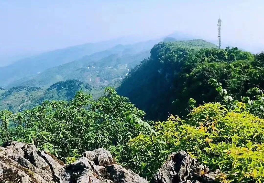 重庆长寿周围赏花旅游景点,重庆长寿旅游景点攻略