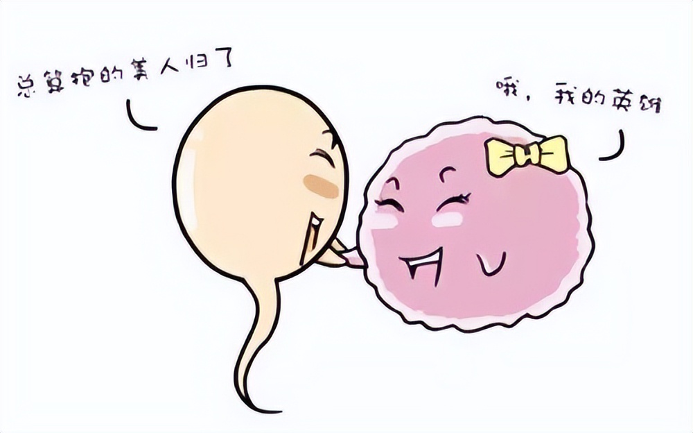 女性的安全期前7后8是什么意思,女生安全期前七后八是怎么算的啊