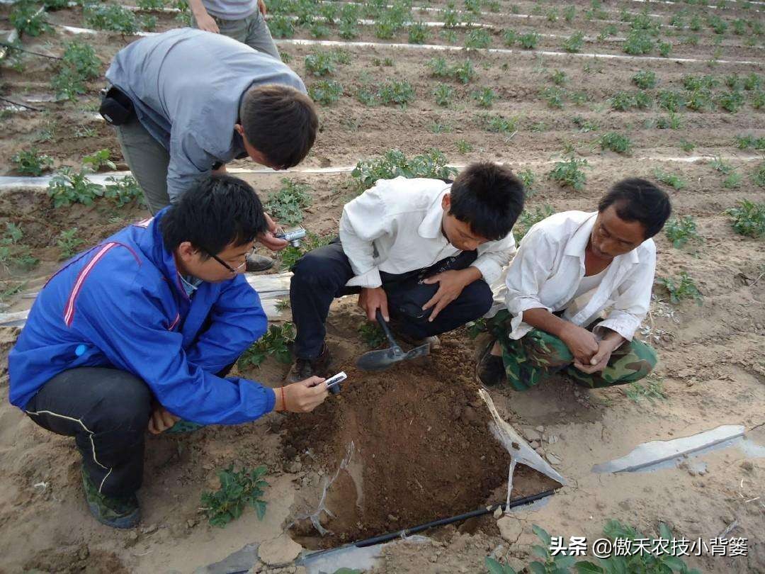 菌肥和菌剂的区别,菌肥与有机肥的区别