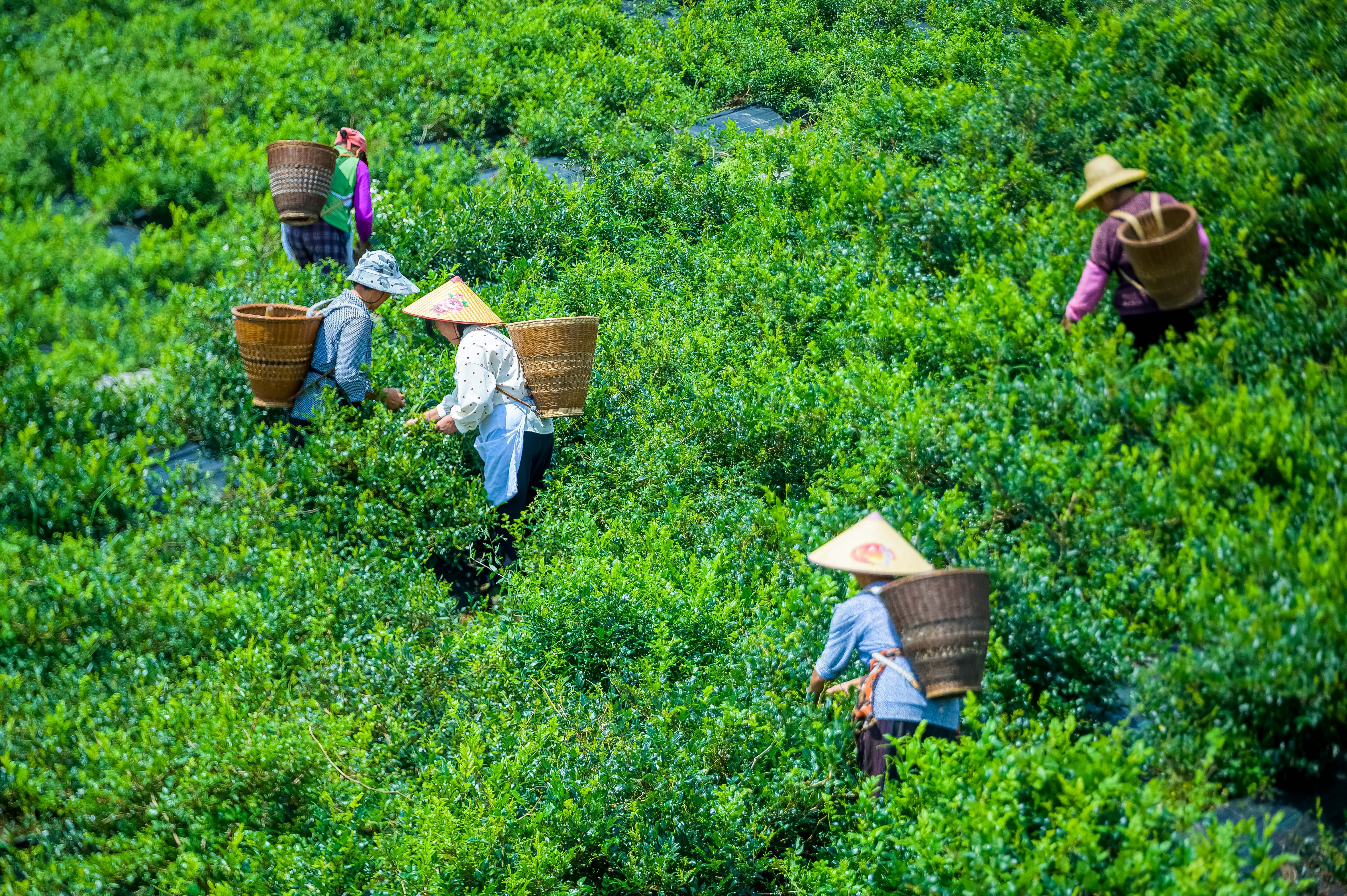 抖音集团都在干什么,34件事