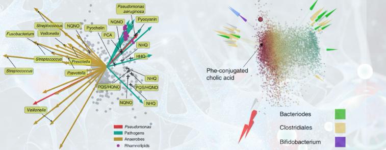 热带植物小果榕光合作用对光抑制的高敏感性