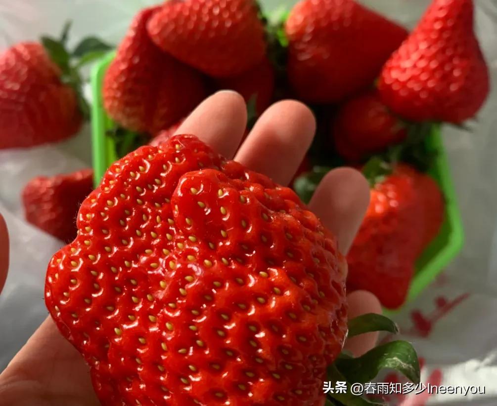 生活本就是不停的奔波,元旦将至忙忙碌碌