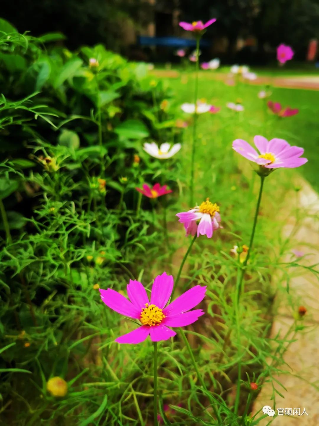 过度操劳的原因,操劳过度苍老很多