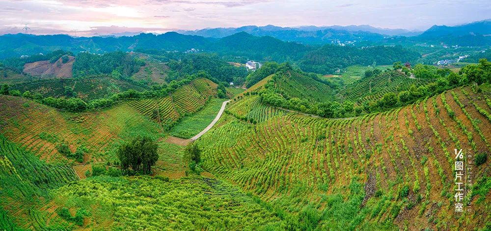 商洛打造中国康养之都金字招牌,中国康养之都商洛