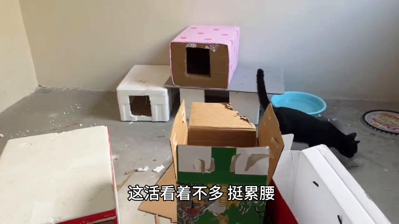 泡沫改造房屋,泡沫纸箱改造猫窝