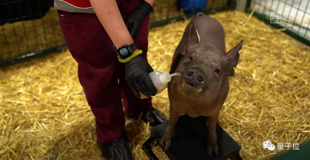 马斯克宣布将大脑思想上传云端,马斯克已将大脑上传云端后会怎样