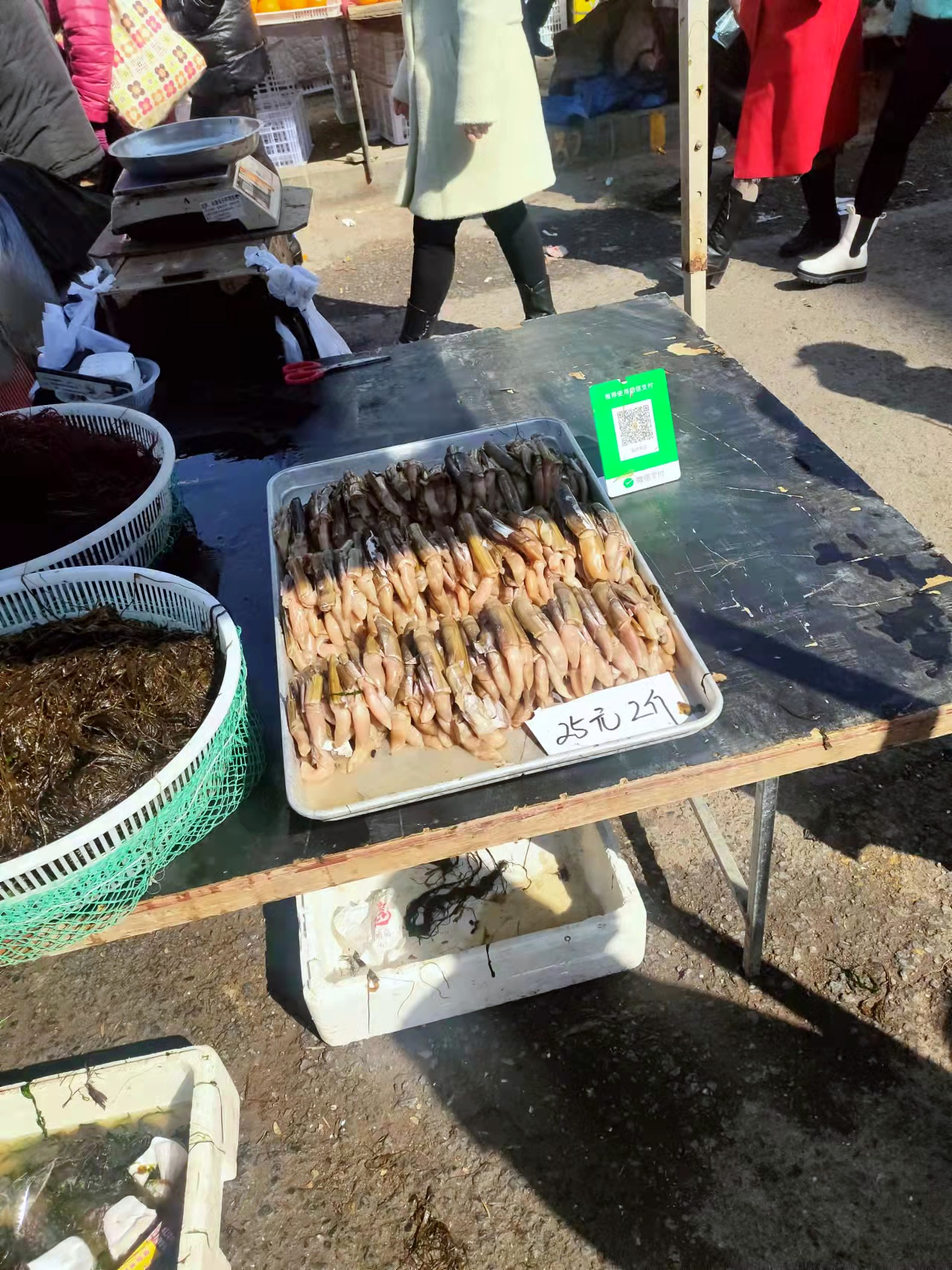 大连海岸现在钓什么鱼,大连熟食品批发市场有哪些好吃的