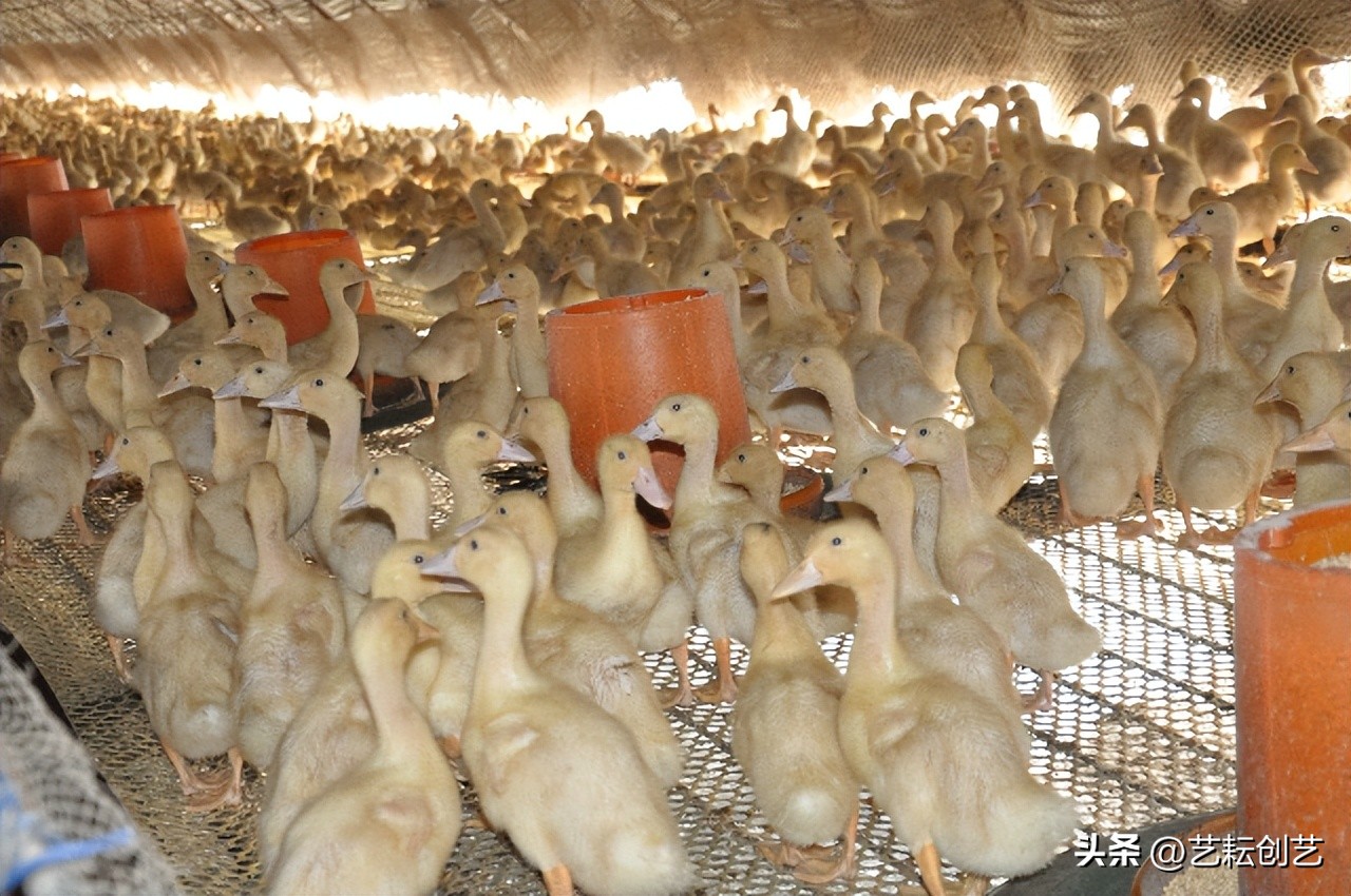 辽宁省地理标志目录,全国地理标志农产品