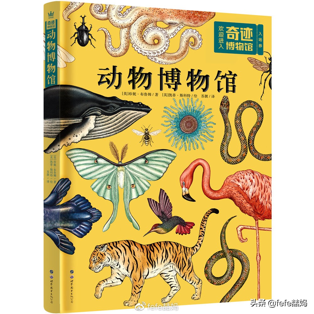 关于小动物的书推荐,好书推荐动物书单