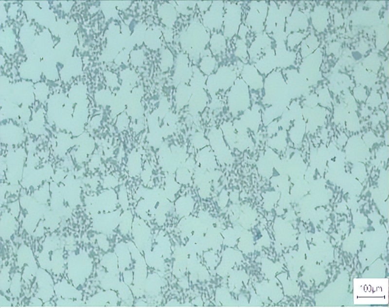 文昌新材徐骏教授：电磁搅拌吸铸技术及其在铝陶复合材料中的应用