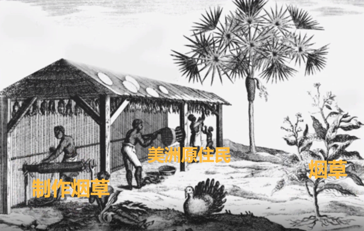 吸烟危害动物实验视频,吸烟对猫狗的危害