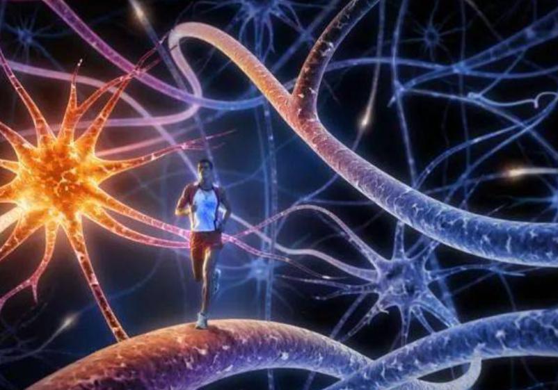 祸害女性的“液体快乐丸”多可怕?“听话水”为何会让人乖乖听话