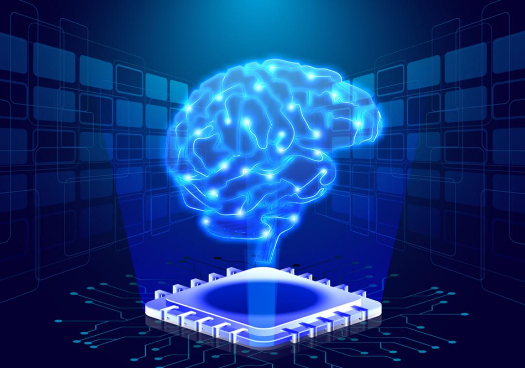 人类的大脑到底有多强大,人类的大脑是多少g的内存