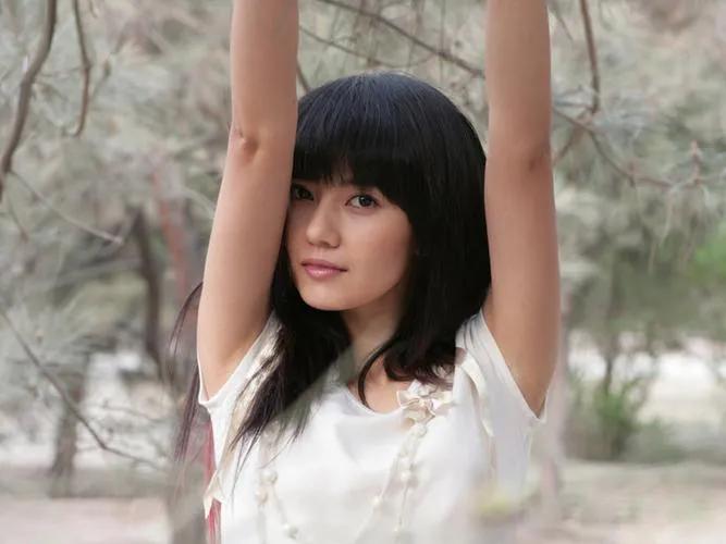 高圆圆的辛酸情史,高圆圆谈了几段情史