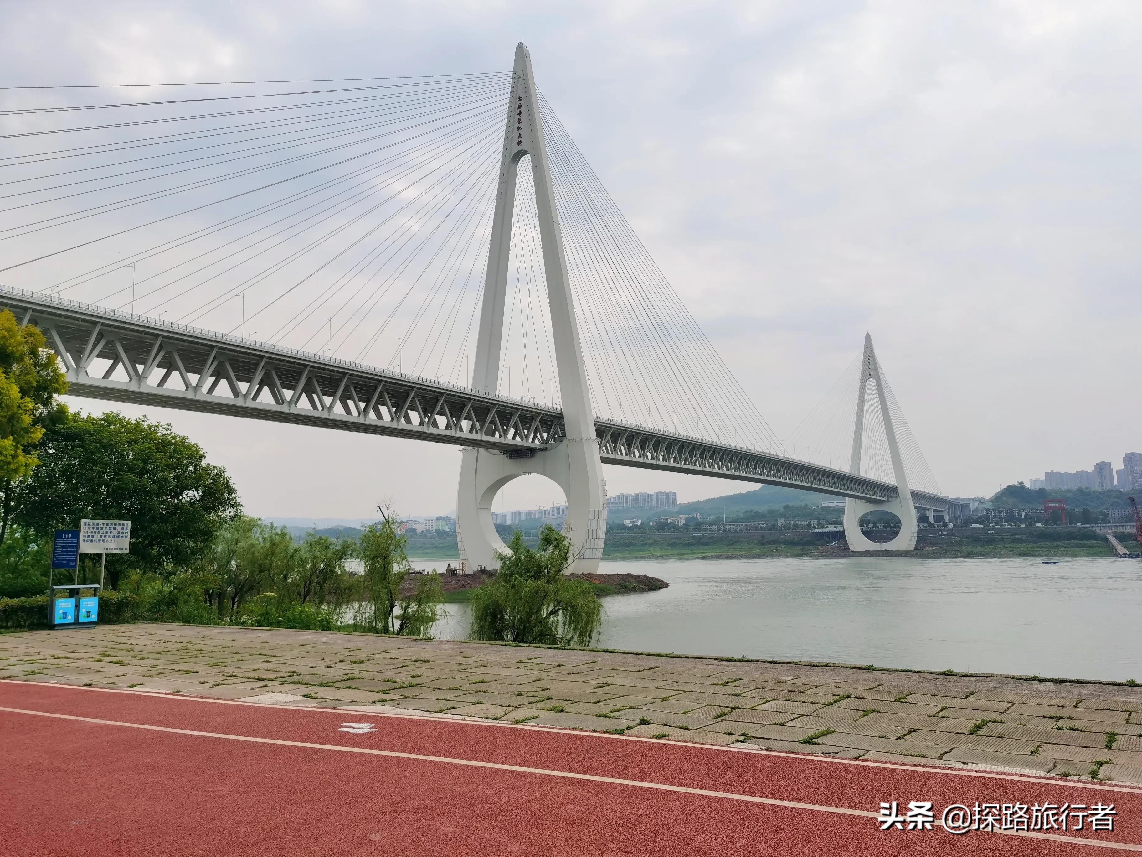 巴滨路茶花广场湿地公园,重庆南滨公园游玩攻略路线推荐