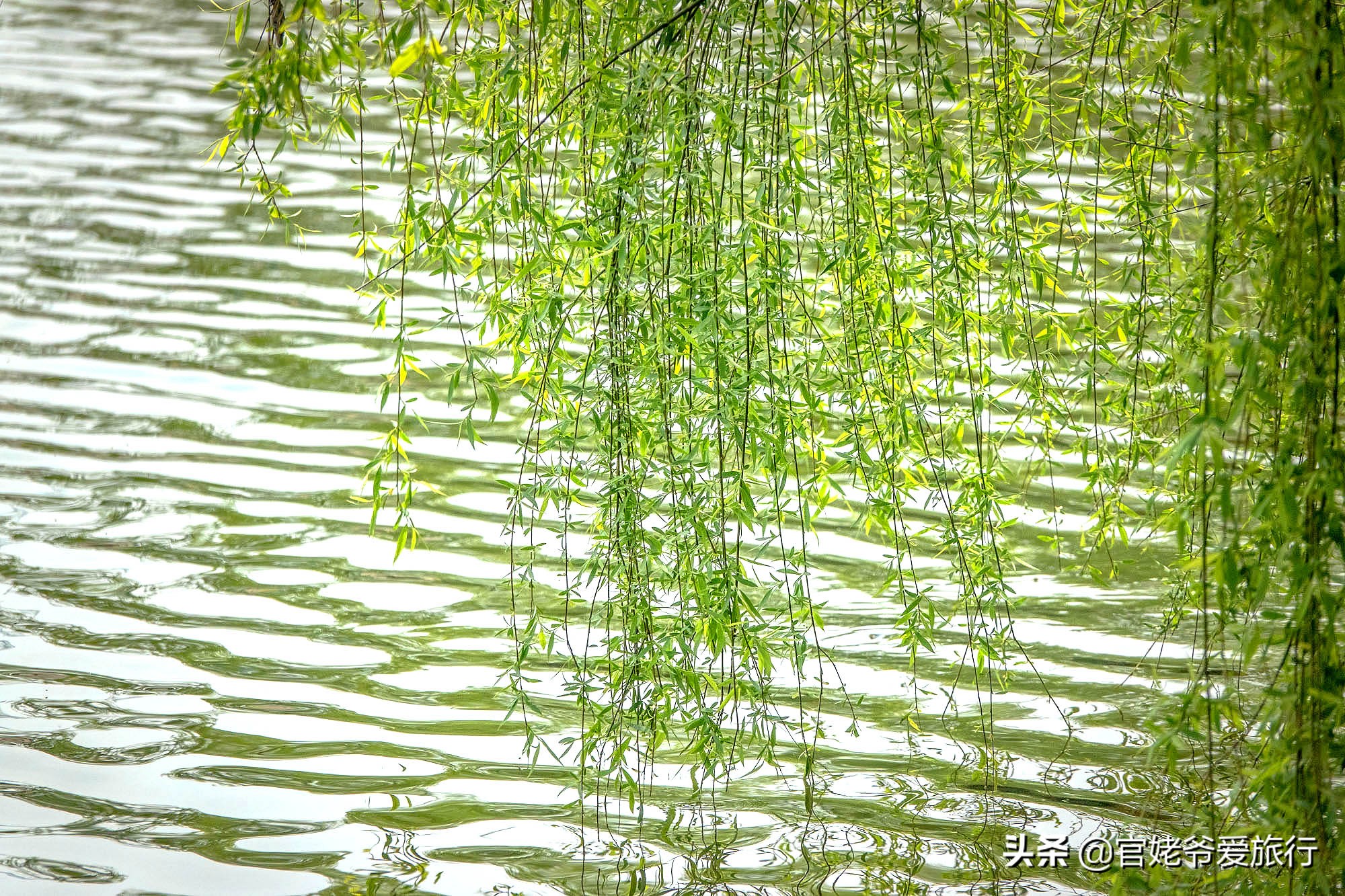 武汉黄陂茶谷风景区,武汉市黄陂区后花园