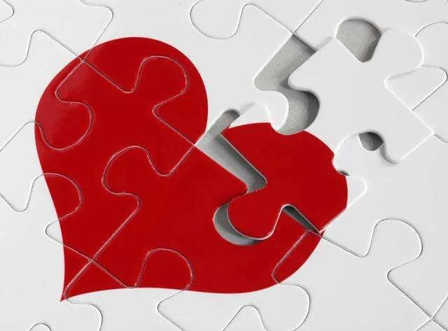 如何拥抱一个刺猬,如何拥抱受伤的刺猬