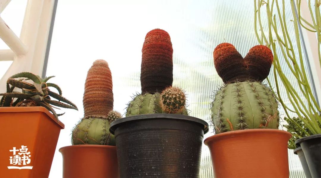 讨厌一个人最正确的处理方式,讨厌一个人最好的对待方式