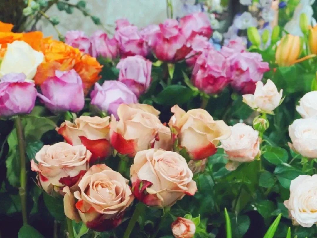 济南春天看花好去处,来济南买金子