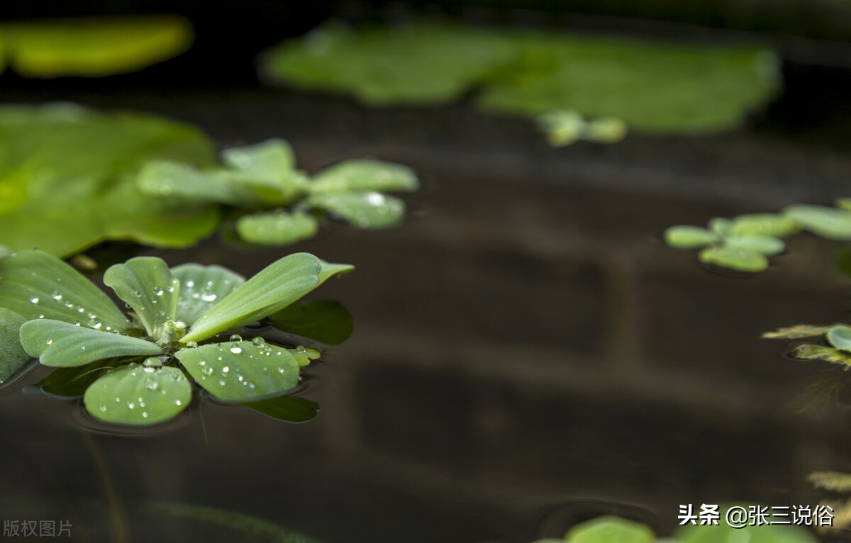大暑当天下雨比晴天好吗,大暑下雨天有什么变化