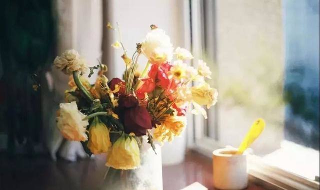 一个人越活越“聚财”，靠的不是情商、智商，是这几种远见