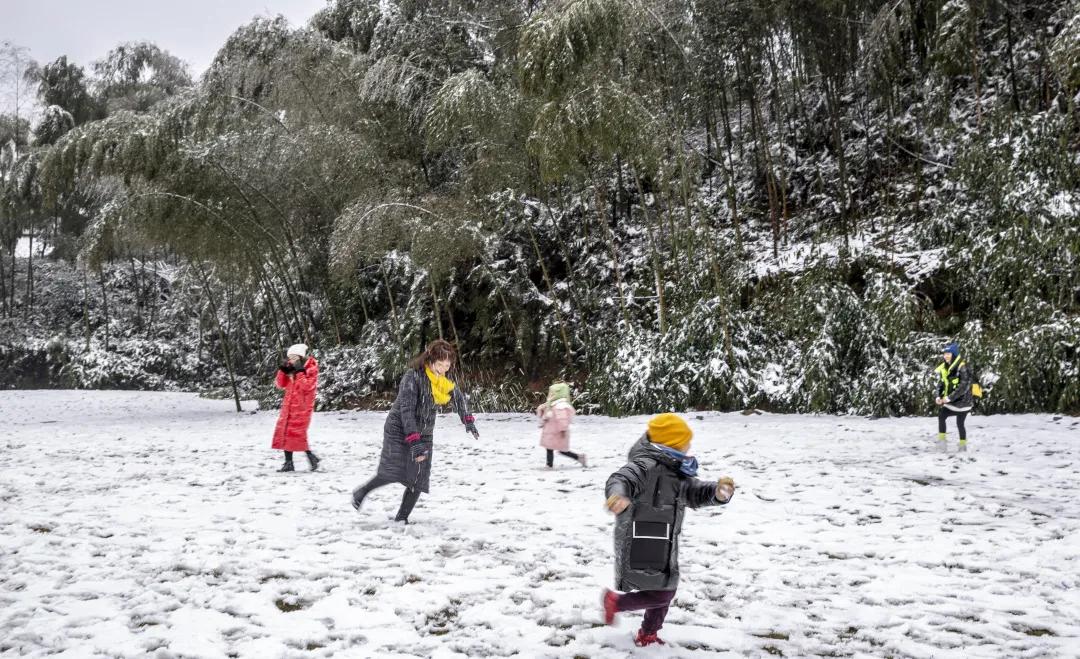宜宾夏季度假旅游攻略大全,宜宾旅游攻略冬季
