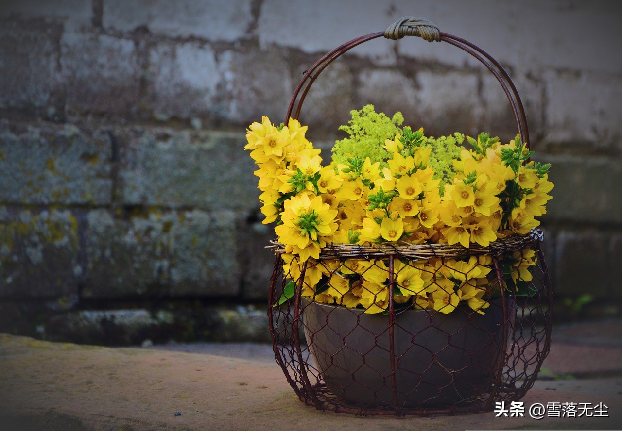 闪婚的风险和后果,闪婚会不会后悔情感分析