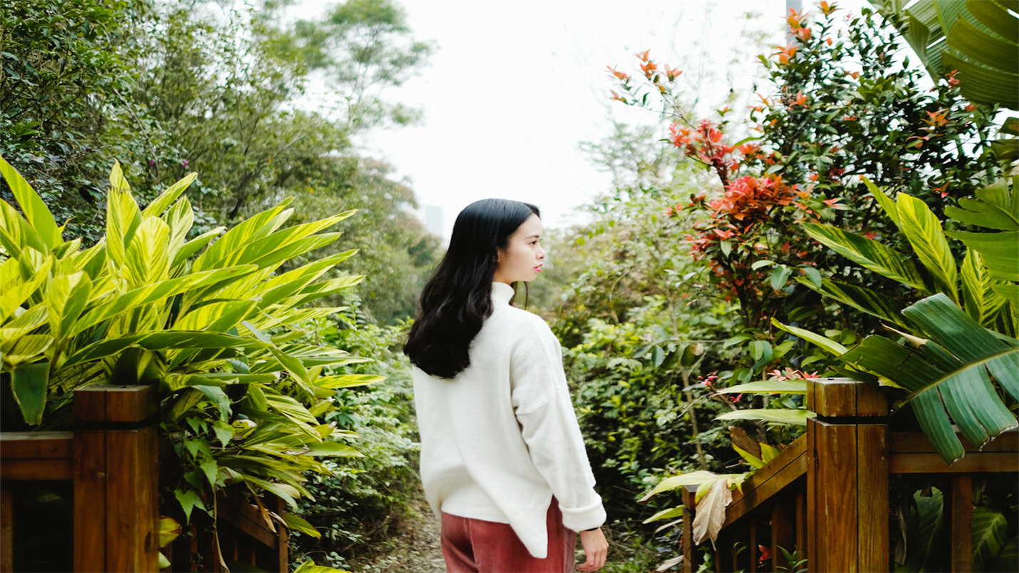 往事如风一切如梦,往事如风人生如梦岁月如歌