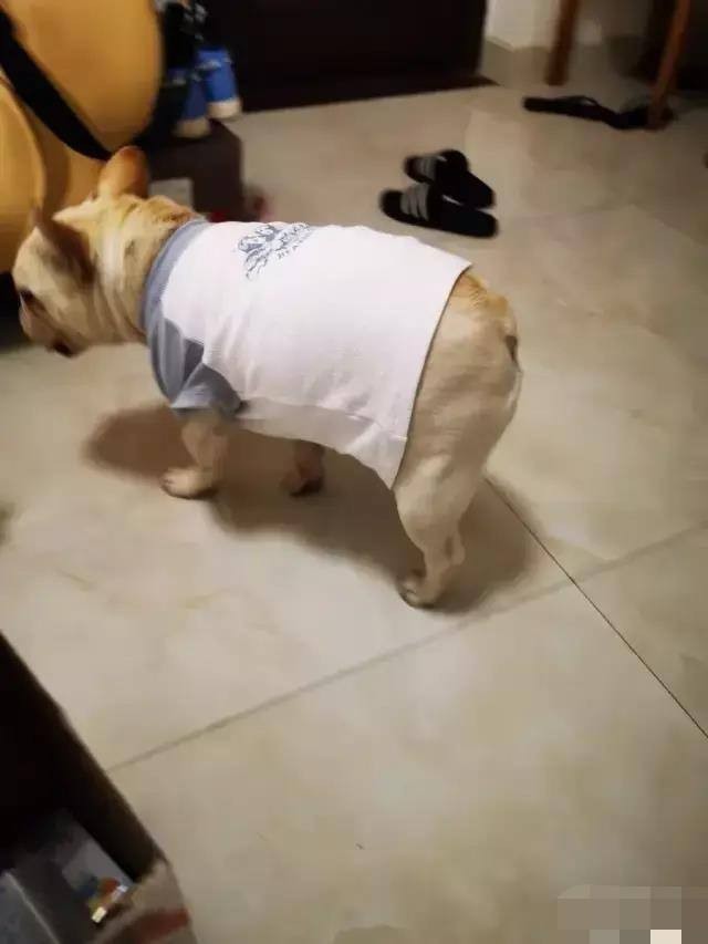 男孩给女孩买卫生巾搞笑视频,男生帮女生买卫生巾爆笑视频