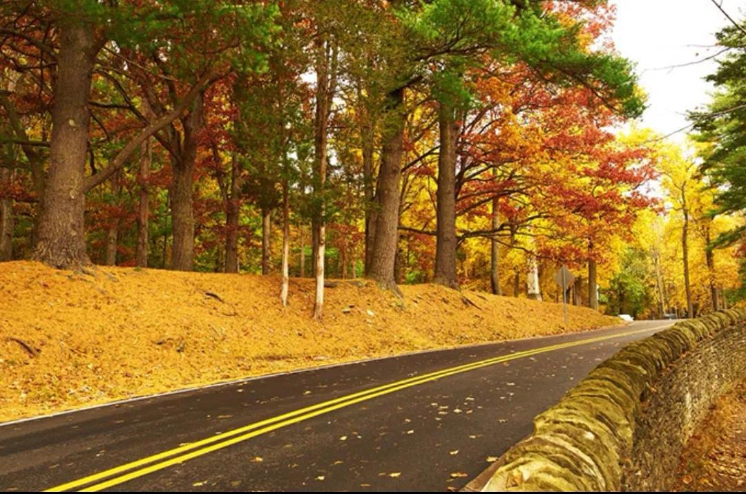 要学会适应一个人,一定要学会适应