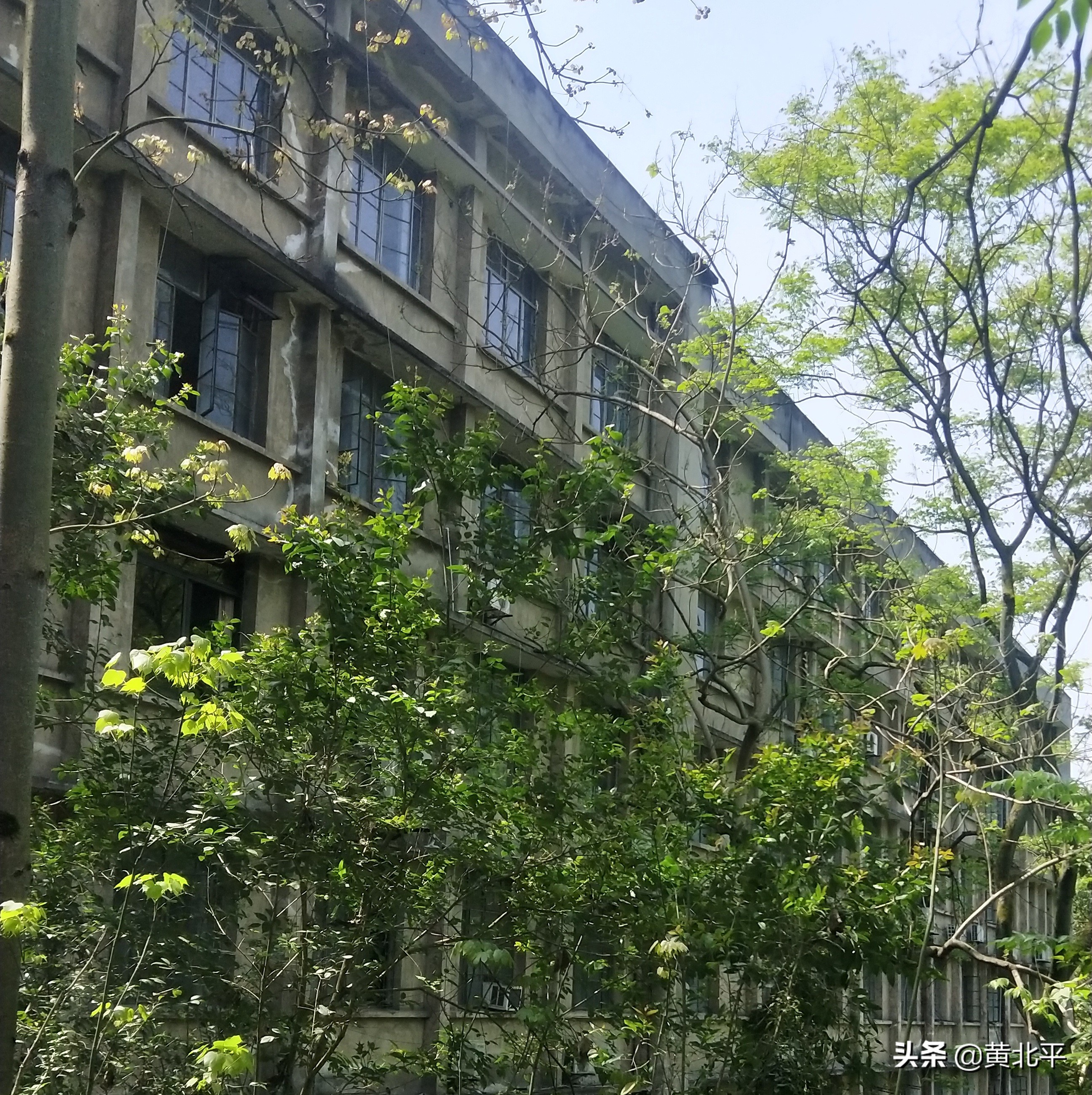 北碚刘家沟煤矿,天府矿务局刘家沟煤矿历史