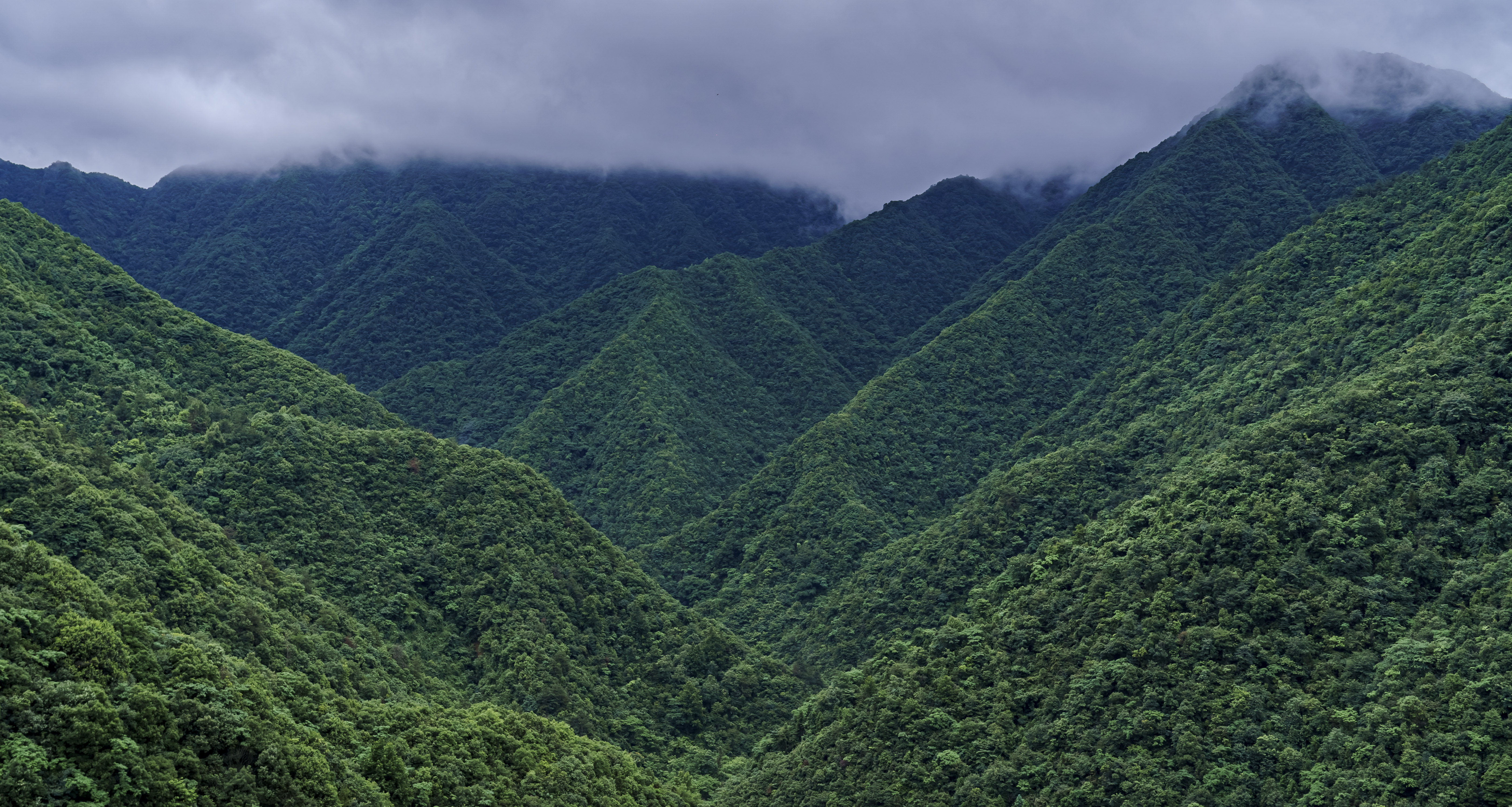 杭州漂流去哪里比较好玩,距离杭州20公里的漂流
