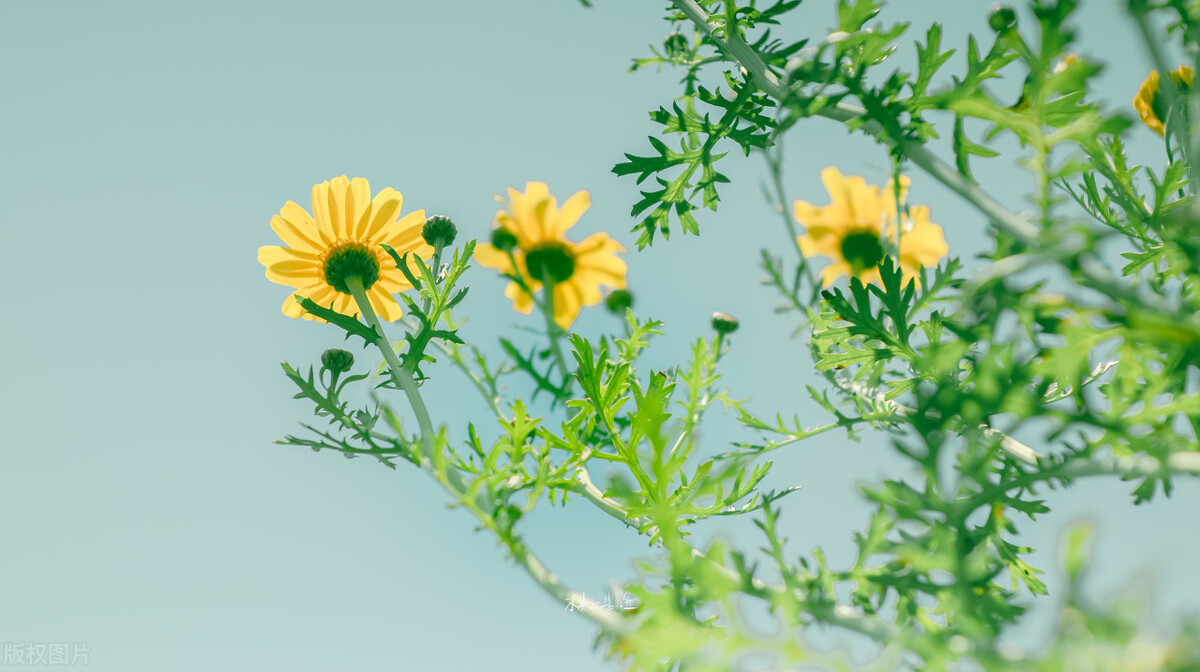 互联网时代下企业管理的创新发展,互联网时代下传统企业管理的弊端