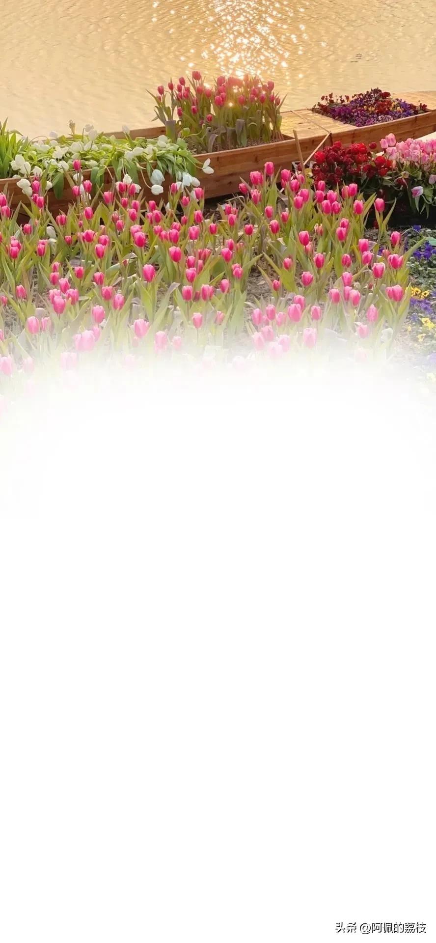 寰俊鑱婂ぉ鑳屾櫙鍥炬殫鑹茬郴,寰俊鑱婂ぉ鑳屾櫙鍥捐秴娓呭コ