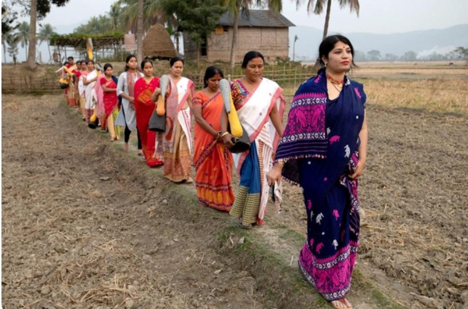 消失40多年的超丑大鸟现身大理，传说能克死皇帝？如今超受欢迎！