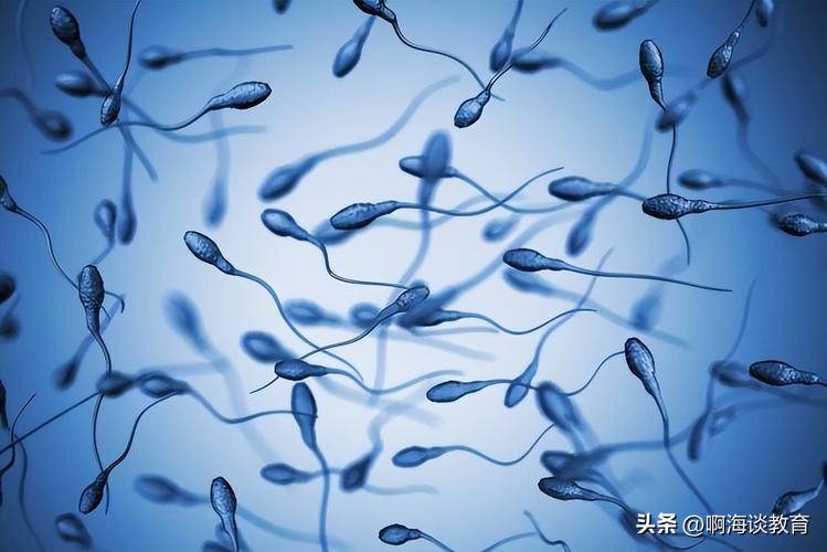 你会去吗？一机构对西安大学生发布捐精倡议书，合格者奖励5000元