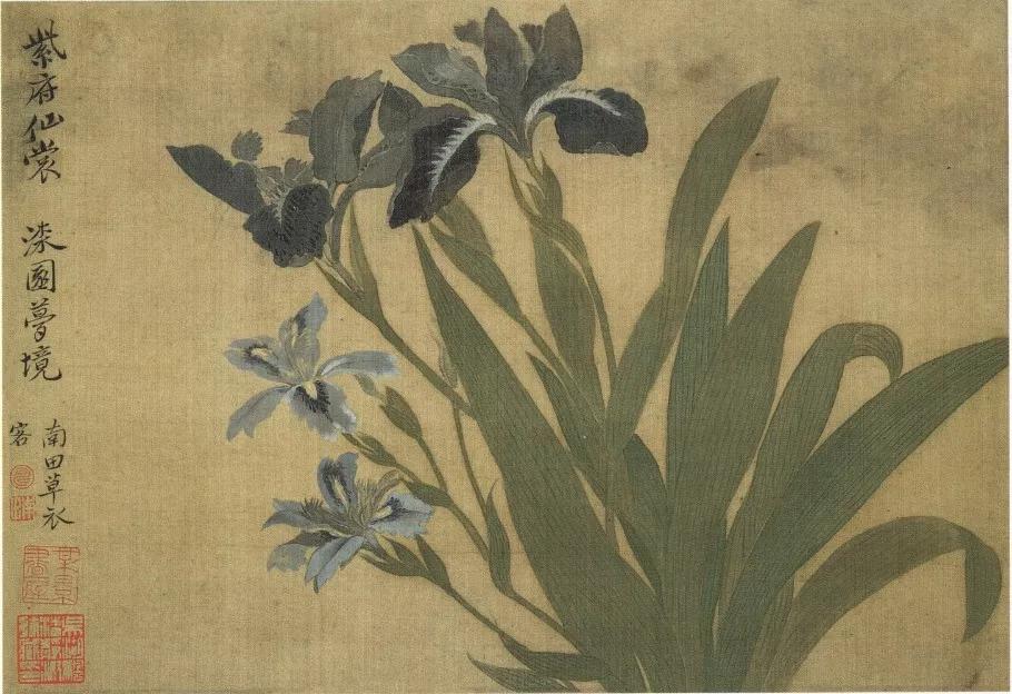 清代九大名家花鸟册页欣赏,清朝九大名家花鸟山水图