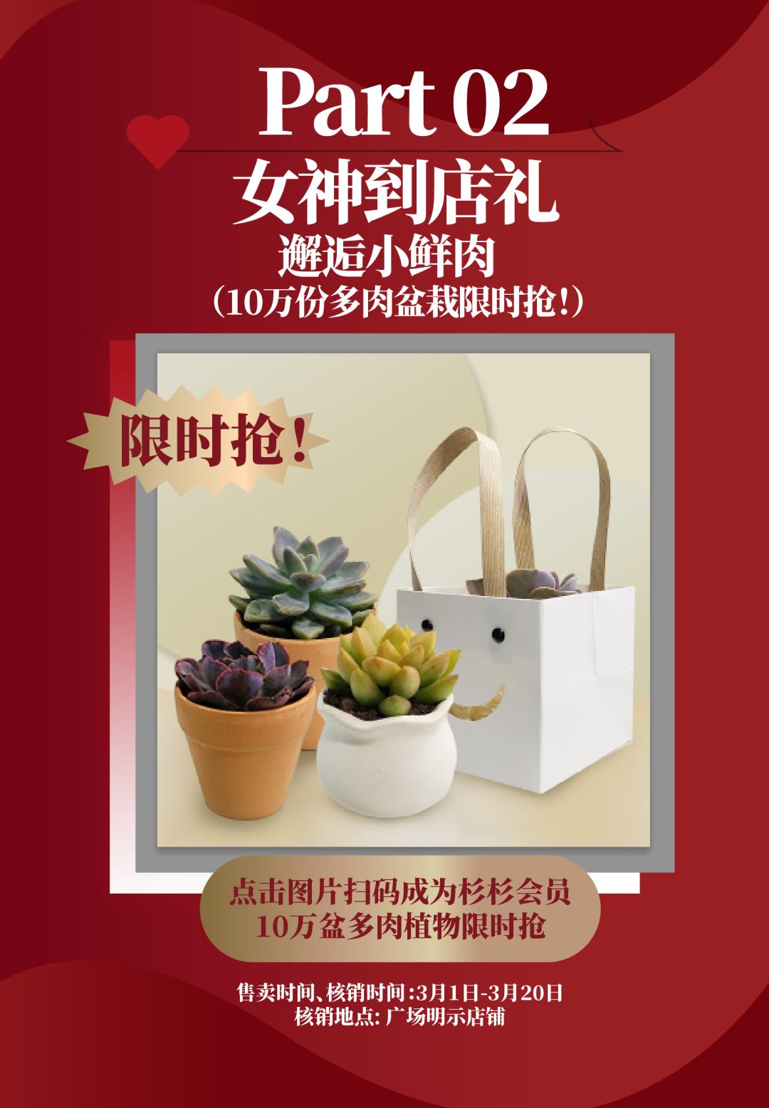 多肉植物七折优惠,多肉秒杀专场0.01元包邮含盆