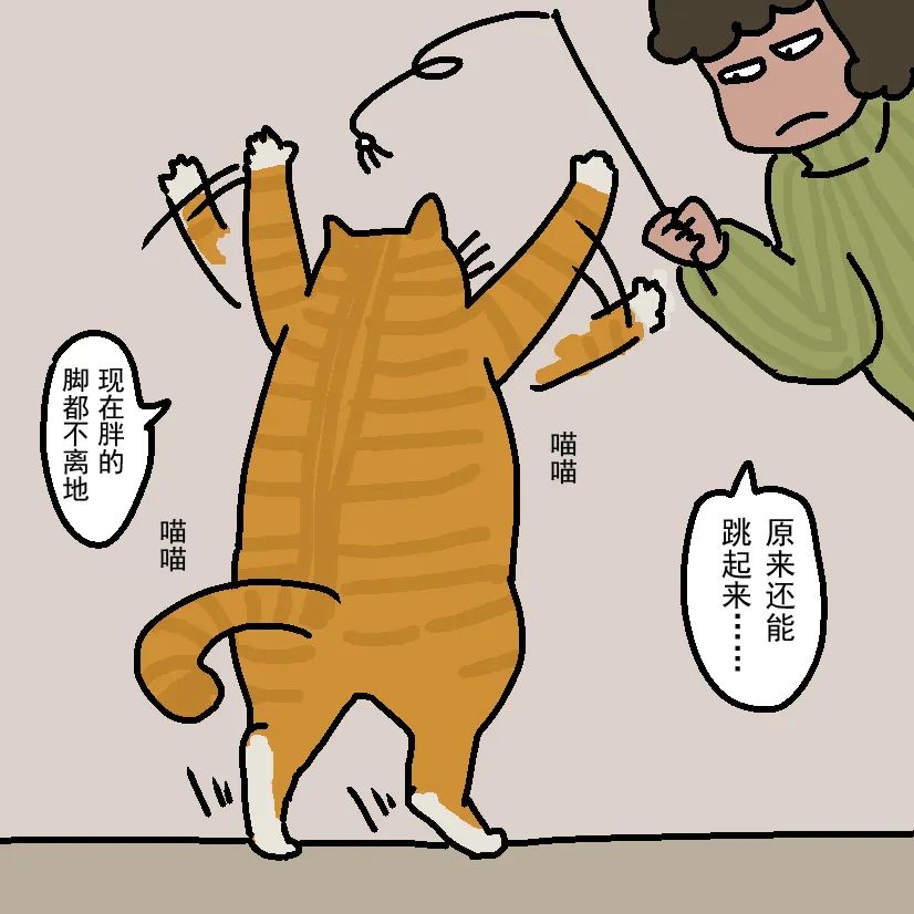 冬天猫咪怕冷吗该怎么给猫咪保暖 (怎么给猫咪穿衣服不掉毛)