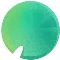 上海tiffany蓝打卡,上海tiffany蓝玫瑰