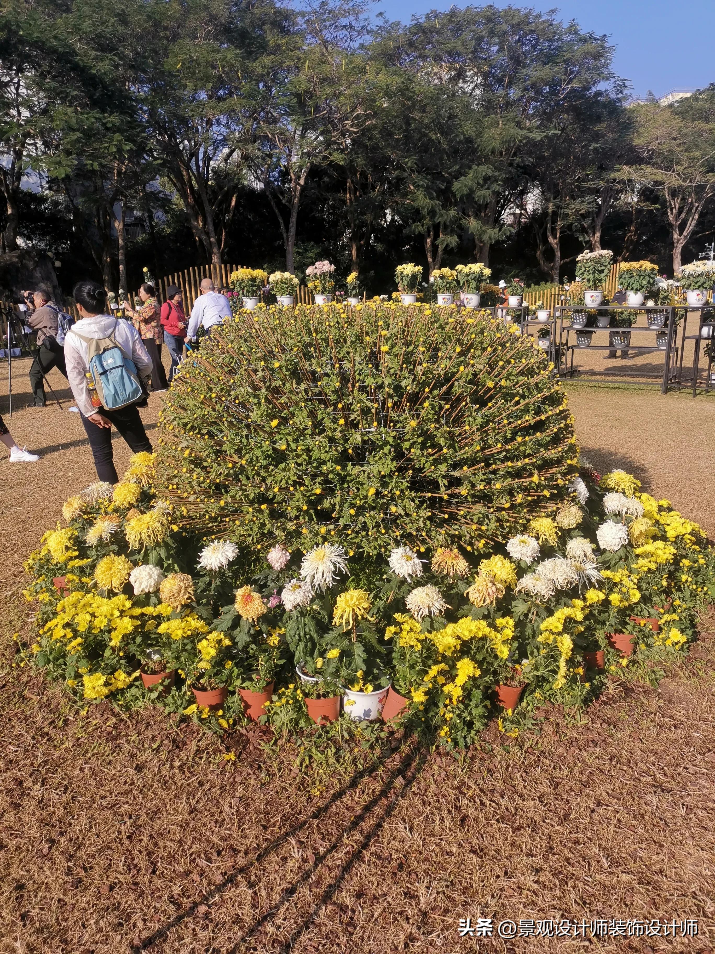 深圳市东湖公园广场舞,深圳市东湖公园收费标准