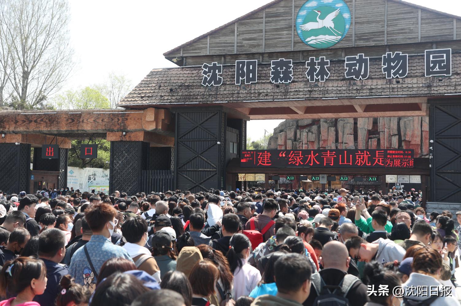 【沈水之阳我心向往】这个“五一”，31.6万人次打卡棋盘山景点