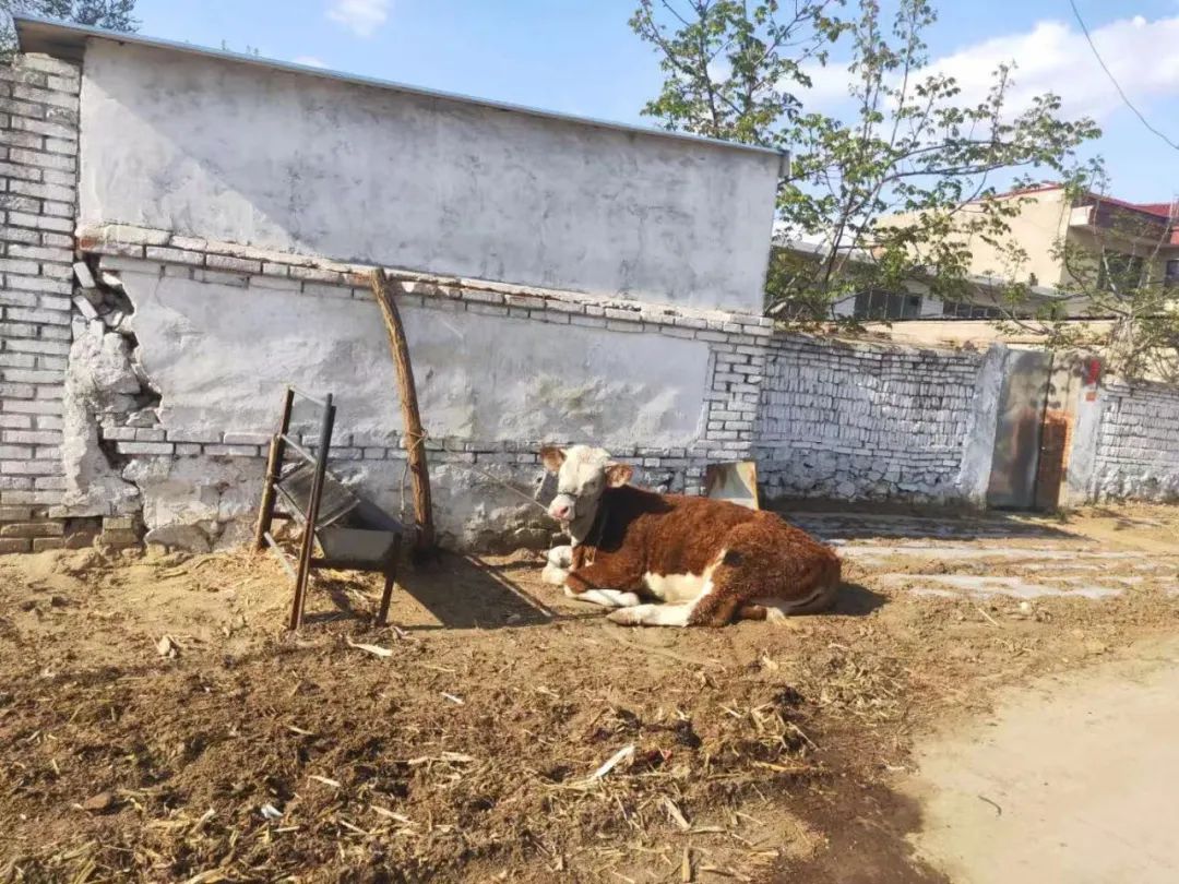 迁安人，你喜欢生活在城里，还是老家？