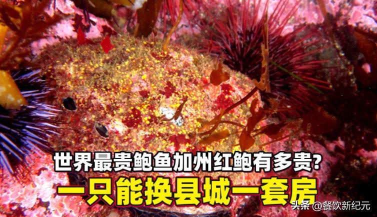 全球十大顶级海鲜排名最新,十大世界公认顶级海鲜