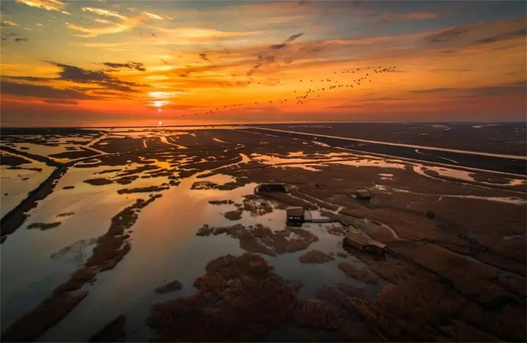 大上海竟然还有10个美丽的海岛!网友:好想去那里“居家隔离”